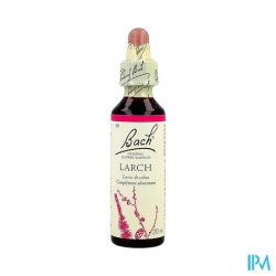 FL BACH ORIGINAL LARCH 20ML