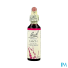 FL BACH ORIGINAL LARCH 20ML