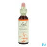 FL BACH ORIGINAL MIMULUS 20ML
