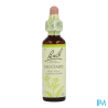 FL BACH ORIGINAL MUSTARD 20ML