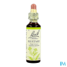 FL BACH ORIGINAL MUSTARD 20ML