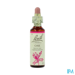 FL BACH ORIGINAL OAK 20ML