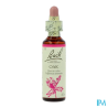 FL BACH ORIGINAL OAK 20ML