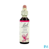 FL BACH ORIGINAL OAK 20ML