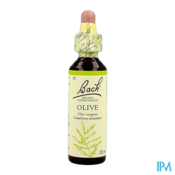 FL BACH ORIGINAL OLIVE 20ML