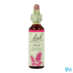FL BACH ORIGINAL PINE 20ML