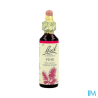 FL BACH ORIGINAL PINE 20ML
