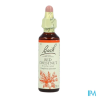 FL BACH ORIGINAL RED CHESTNUT 20ML