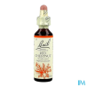 FL BACH ORIGINAL RED CHESTNUT 20ML