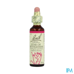 FL BACH ORIGINAL STAR OF BETH 20ML