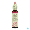 FL BACH ORIGINAL STAR OF BETH 20ML