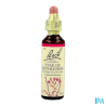 FL BACH ORIGINAL STAR OF BETH 20ML