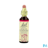 FL BACH ORIGINAL STAR OF BETH 20ML
