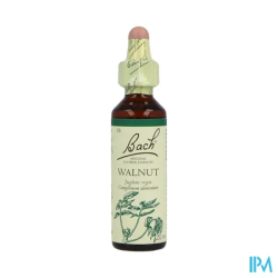 FL BACH ORIGINAL WALNUT 20ML