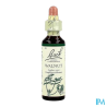 FL BACH ORIGINAL WALNUT 20ML