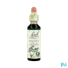 FL BACH ORIGINAL WALNUT 20ML