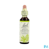 FL BACH ORIGINAL WHITE CHEST 20ML