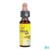 RESCUE BACH ORIGINAL KIDS GTTE10ML