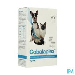 COBALAPLEX CHIEN CHAT GELUL 60