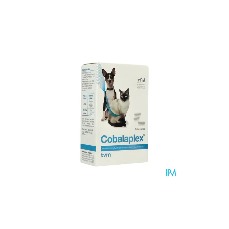COBALAPLEX CHIEN CHAT GELUL 60