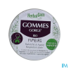HERBALGEM GOM GORGE FUMEUR BIO45G