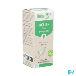 HERBALGEM FIGUIER BIO SPR 15ML