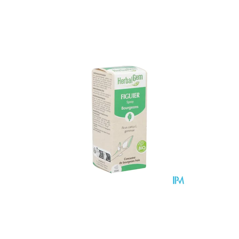 HERBALGEM FIGUIER BIO SPR 15ML