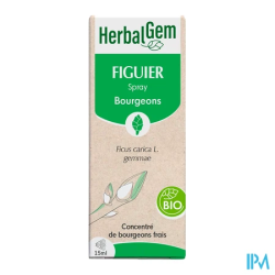 HERBALGEM FIGUIER BIO SPR 15ML