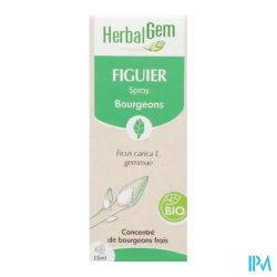 HERBALGEM FIGUIER BIO SPR 15ML