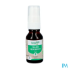HERBALGEM FIGUIER BIO SPR 15ML