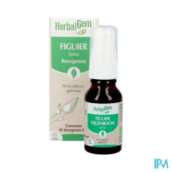 HERBALGEM FIGUIER BIO SPR 15ML