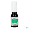 HERBALGEM FIGUIER BIO SPR 15ML