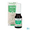 HERBALGEM FIGUIER BIO SPR 15ML