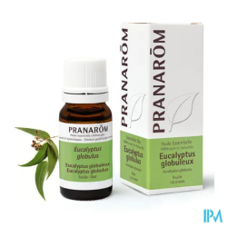 PRANAROM HE EUCALYPT GLOBUL 10ML