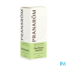 PRANAROM HE GAULTHERIE COUCH 10ML