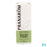 PRANAROM HE GERANIUM EGYPTE 10ML