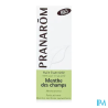 PRANAROM HE BIO MENTHE CHAMPS 10ML