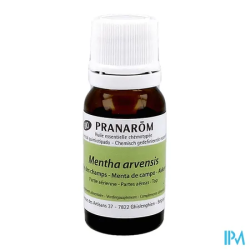 PRANAROM HE BIO MENTHE CHAMPS 10ML