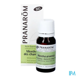 PRANAROM HE BIO MENTHE CHAMPS 10ML