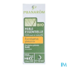 PRANAROM HE BIO EUCALYPT GLOB 10ML