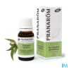 PRANAROM HE BIO EUCALYPT GLOB 10ML