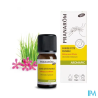 PRANAROM AROMAPIC S/ETE MD 10ML