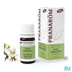 PRANAROM HE BIO CISTE LADANIF 5ML