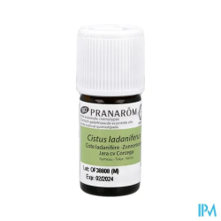 PRANAROM HE BIO CISTE LADANIF 5ML
