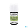 PRANAROM HE BIO LEDON GROENLAND5ML