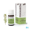 PRANAROM HE BIO LEDON GROENLAND5ML