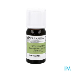 PRANAROM HE BIO EPINETTE NOIR 10ML