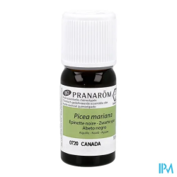 PRANAROM HE BIO EPINETTE NOIR 10ML