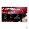 CAPSTAR CHAT 11,4MG CPR 6