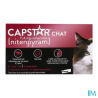 CAPSTAR CHAT 11,4MG CPR 6